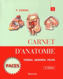 Carnet d'anatomie  - Tome 3, Thorax, abdomen, pelvis