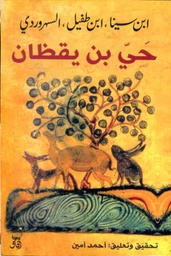 حي بن يقظان