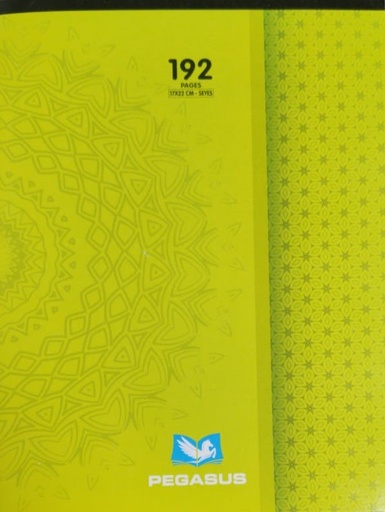 Cahier pique 192 P 17*11 seyes Pegasus