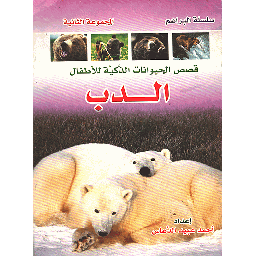 الدب