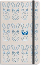 The Lapins Crétins - Carnet ligné & pochette 192 pages