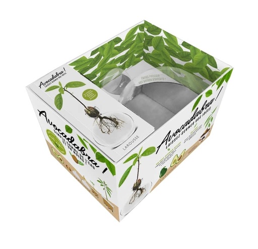 Avocadabra ! Laissez germer vos idées  - Coffret avec un vase germoir design