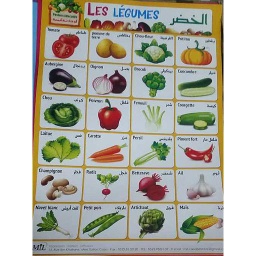 لوحات تعليمية الخضر Posters Educatifs Les Légumes