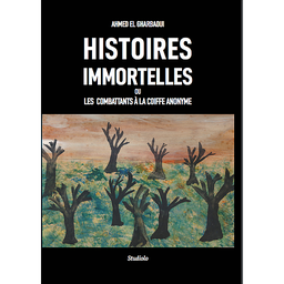 Histoires immortelles ou les combattants à la coiffe anonyme