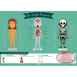 Le corps humain