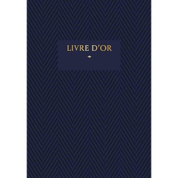 Livre d'or bleu