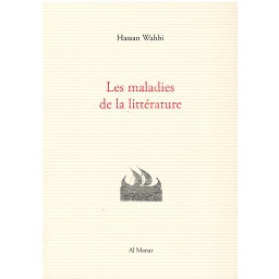 Les Maladies de La Littérature