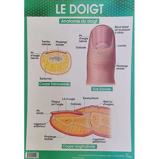 [9780000111227] Poster "Le Doigt"