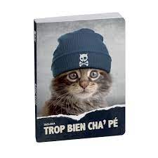 [18445E] Agenda Funny Pets 2024/2025 - 1 jour par page - 12 x 18 cm - chat bonnet