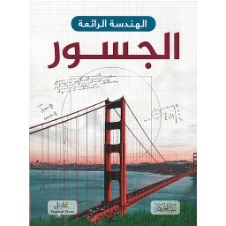 الهندسة الرائعة - الجسور