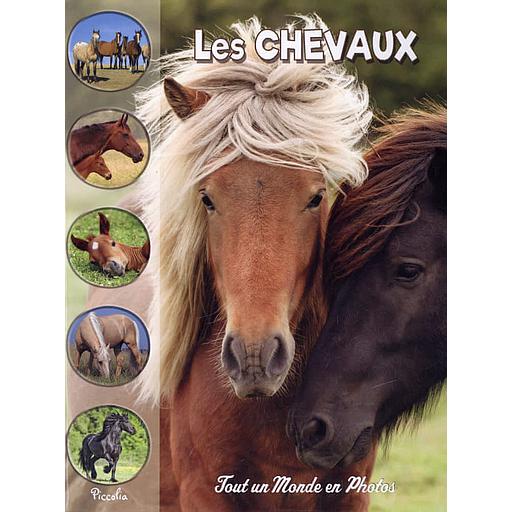 [PIC073395] Les chevaux