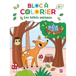 bloc à colorier les bébés animaux