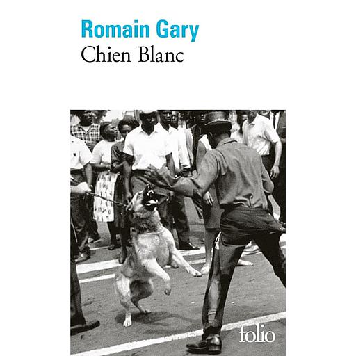 Chien blanc
