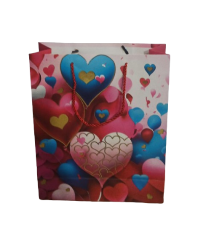 [6066M-1] Sac Cadeau MM 320x260