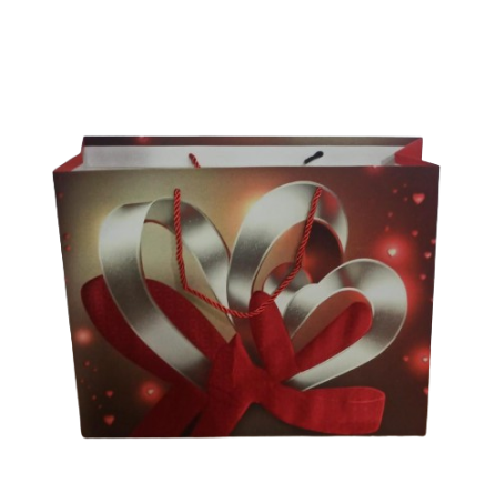 [2601M-3] Sac Cadeau MM 320x260