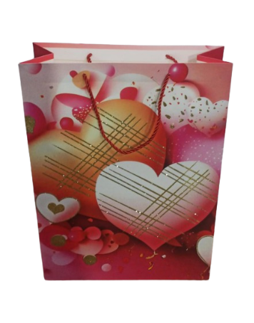 [6066L-3] Sac Cadeau MM 410x300