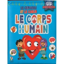 Le Corps Humain Le Cerveau et Le Coeur