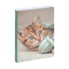 [187788E] Agenda Animaux - 1 jour par page - 12 x 17 cm - chaton