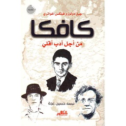 من أجل أدب أقلي