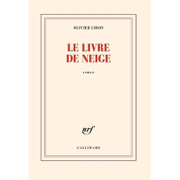 Le livre de neige