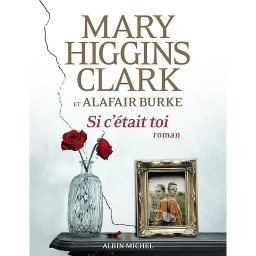 Si c'était toi