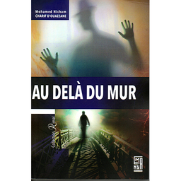 AU DELA DU MUR