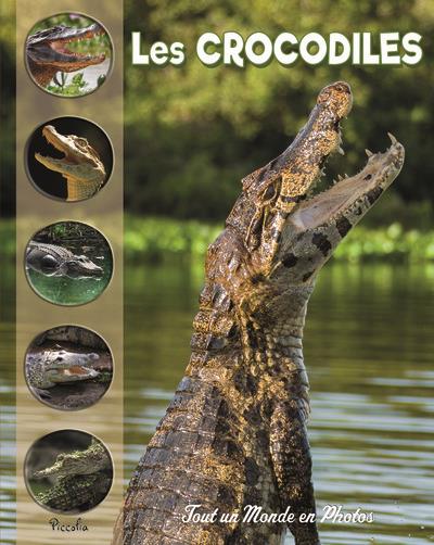 [PIC072787] Les crocodiles
