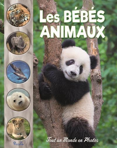 [PIC073012] Les bébés animaux