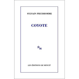 Coyote