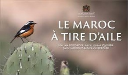 Le maroc a tire d'aille