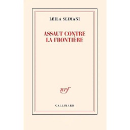 Assaut contre la frontière