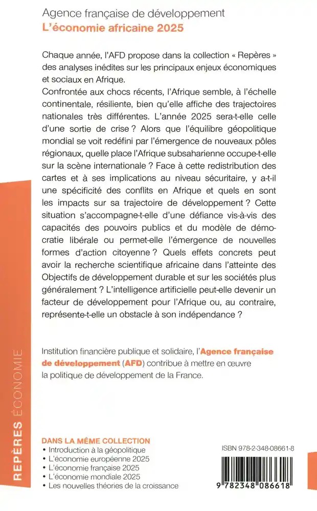 L'économie africaine